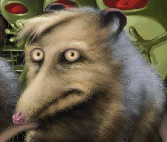 Petey-possum-from-treasure-swamp
